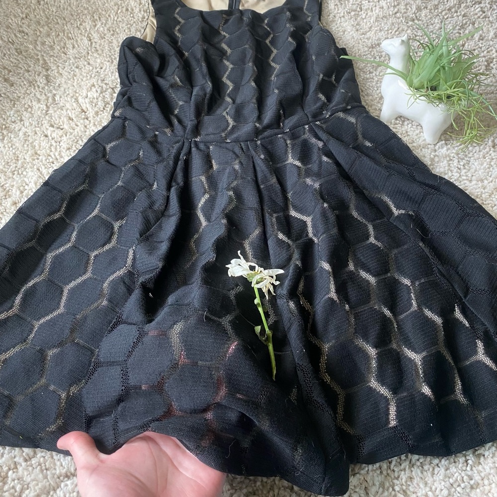 Lily Rose behive pattern vintage mesh mid summer evening dress. Super hip - Picture 3 of 4